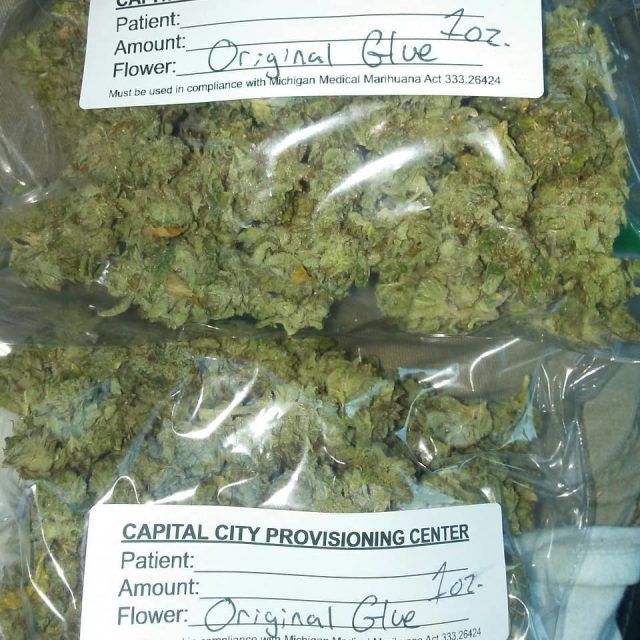 gorilla glue strain
