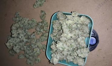 Buy Fat Banana online Buy OG Kush online Buy cannabis online Queensland Where to buy marijuana Buy Fat Banana Brisbane Buy weed online UK..SHOP NOW LEGIT