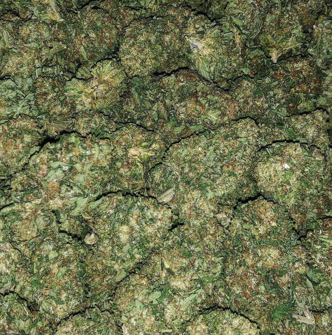 Where to buy Critical Kush Online Order Critical Kush Online Critical Kush for Sale. It is a heavily indica dominant hybrid (90% indica/10% sativa)