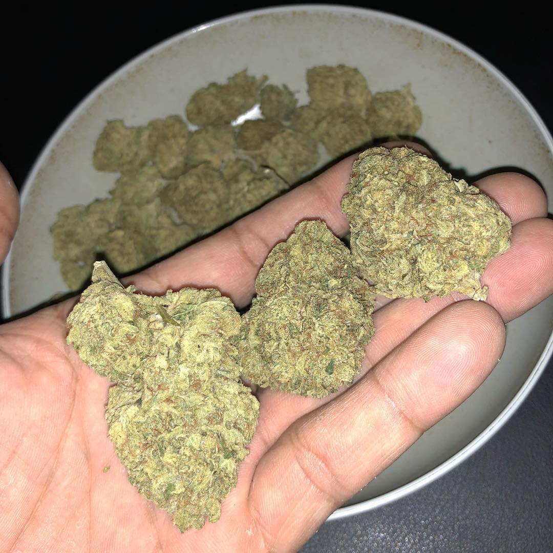 Buy Strawberry Banana Online, Buy Marijuana in Australia Strawberry Banana for sale Order Strawberry Banana online Best marijuana Dispensaries Online