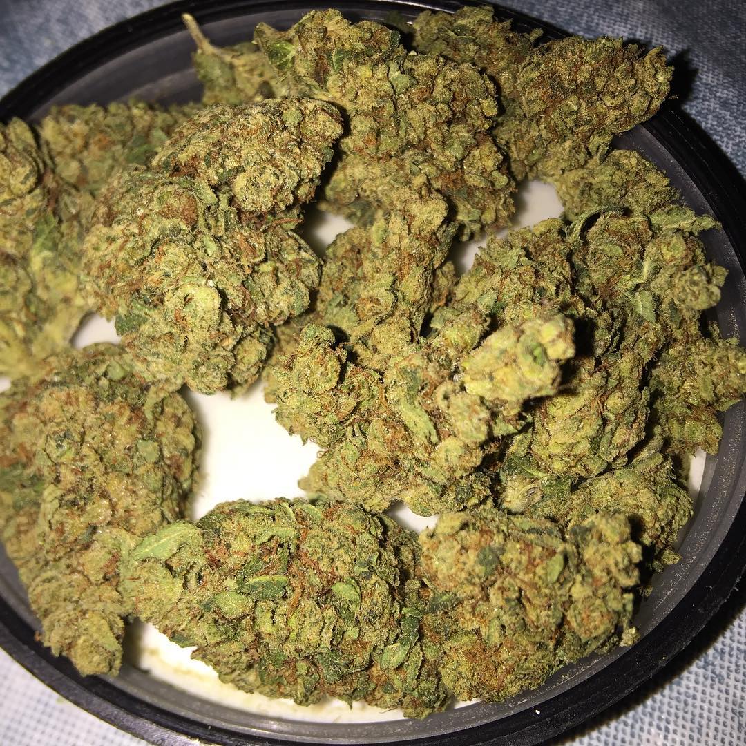 BUY WEED ONLINE AUSTRALIA Buy sour cream weed online Australia Buy cannabis in Australia buy weed online in Brisbane, Buy weed online Queensland