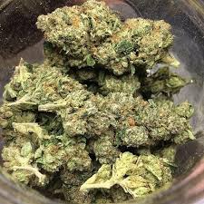 Buy weed in Istanbul Turkey is weed legal in turkey weed in turkey weed in turkey reddit weed in weed is there hash in turkey park istanbul